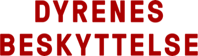 dyrenesbeskyttelse.dk